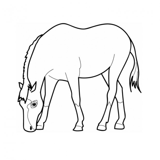 Image En Coulere Cheval Au Pat A Imprimer Gratuit  Coloriage Cheval à