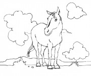 Coloriage Cheval en plein air