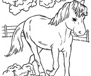 Coloriage Cheval et le jardin