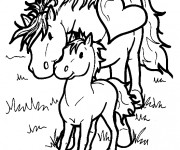 Coloriage Cheval et poulain couleur