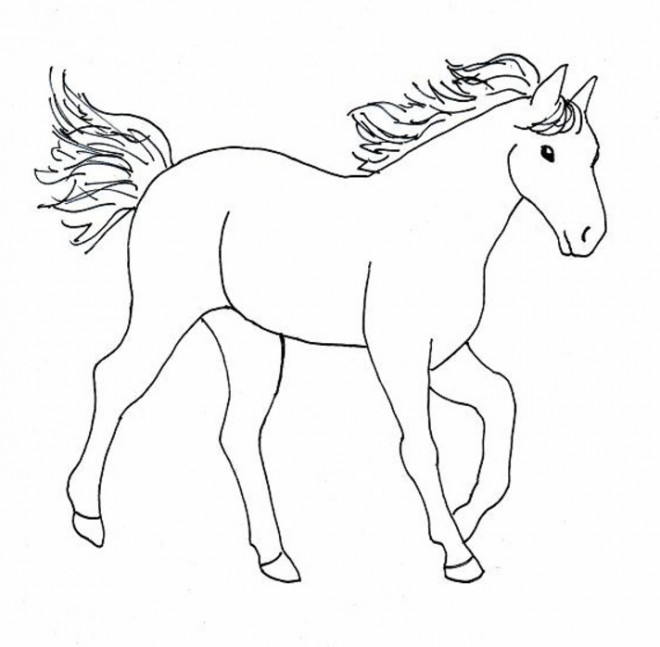 Coloriage Cheval facile dessin gratuit à imprimer