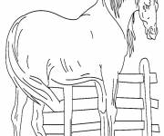 Coloriage Cheval facile maternelle