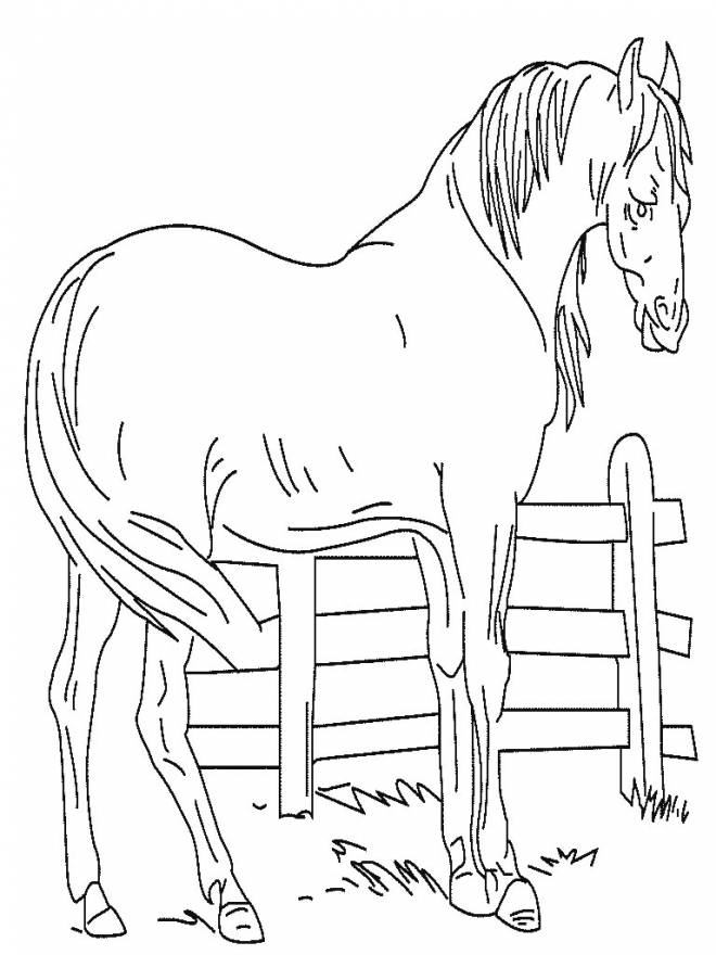 Coloriage Cheval facile maternelle dessin gratuit à imprimer