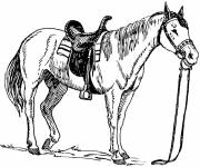 Coloriage Cheval libre