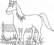 Coloriage Cheval maternelle