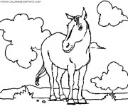 Coloriage Cheval sauvage