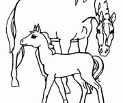 Coloriage Cheval soigne son poulain