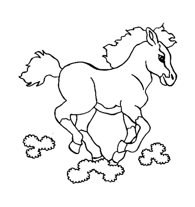 Coloriage Cheval Spirit Dessin Gratuit A Imprimer