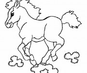 Coloriage Cheval tout en courant