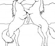 Coloriage Chevaux cabrés maternelle