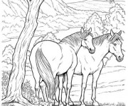 Coloriage Chevaux dans la forêt