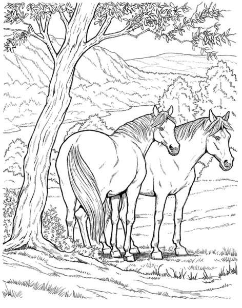 Coloriage Chevaux Dans La Forêt Dessin Gratuit à Imprimer