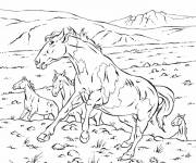 Coloriage Chevaux sauvages