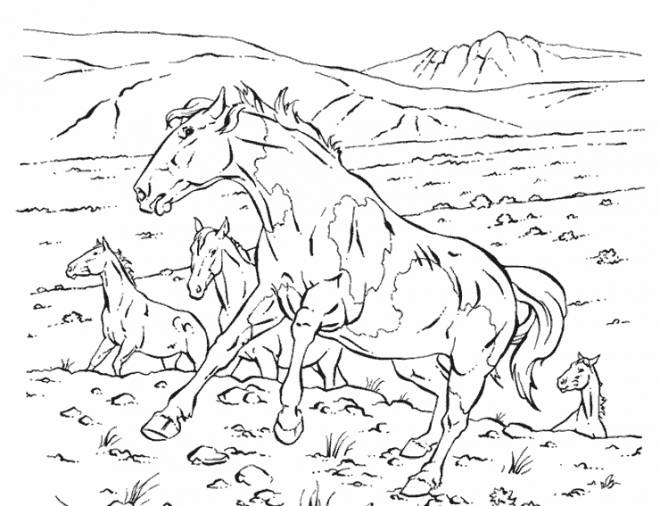 Coloriage Chevaux sauvages dessin gratuit à imprimer