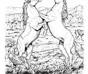 Coloriage Dessin au crayon de deux chevaux