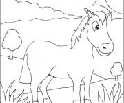 Coloriage Dessin simple de Cheval