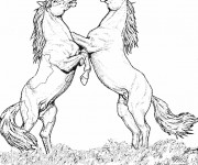 Coloriage et dessins gratuit Jolie chevaux qui se cabrent à imprimer