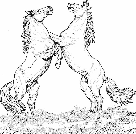 Coloriage Jolie Chevaux Qui Se Cabrent Dessin Gratuit à Imprimer