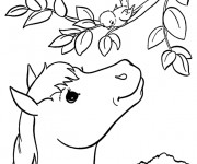 Coloriage Le cheval parle avec l'oiseau