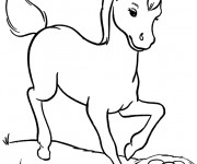 Coloriage Poulain adorale galop
