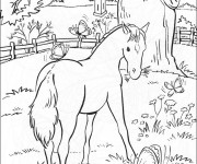 Coloriage Poulain dans le jardin