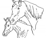 Coloriage Poulain et sa m&egrave;re