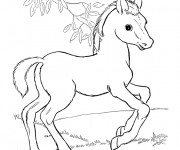 Coloriage Poulain magnifique