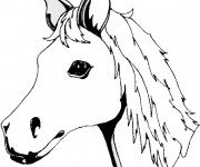 Coloriage Tête De Cheval Dessin Gratuit à Imprimer