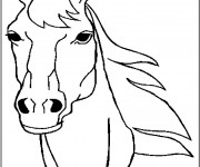 Coloriage Tête de cheval Merens