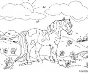 Coloriage Un cheval multicolore