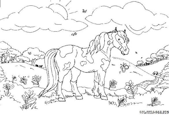 Coloriage et dessins gratuits Un cheval multicolore à imprimer