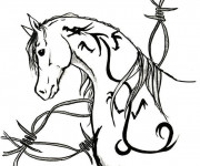 Coloriage Un joli cheval