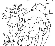 Coloriage Chèvre cherche à manger