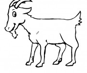 Coloriage Ch&egrave;vre contente