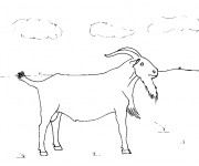 Coloriage Chèvre dans la plaine