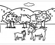 Coloriage Ch&egrave;vre et chevreau