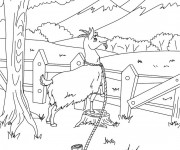 Coloriage Ch&egrave;vre et compagne