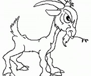 Coloriage Ch&egrave;vre et le regard s&eacute;rieux