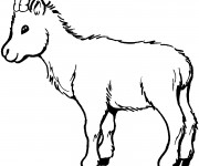 Coloriage et dessins gratuit Chevreau à imprimer