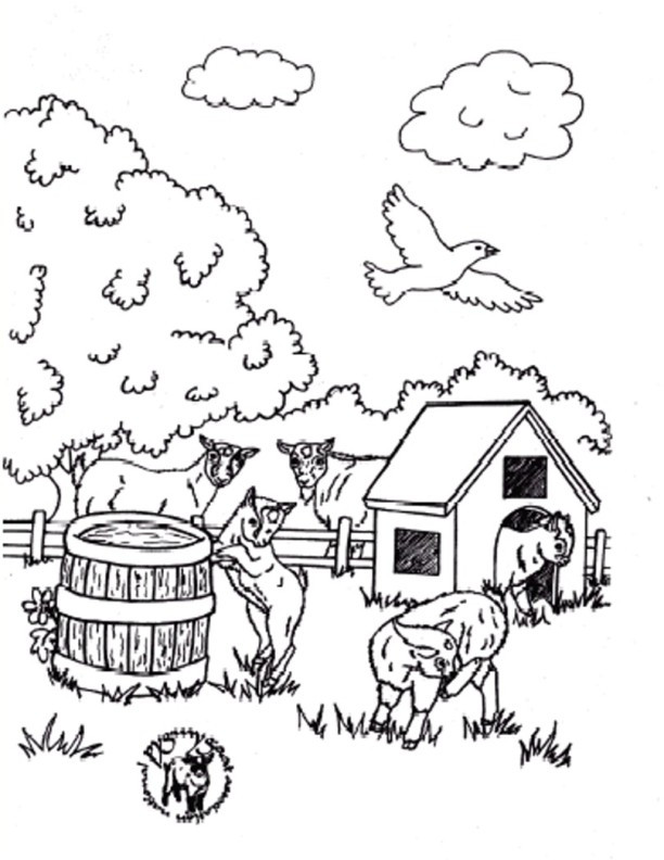 Coloriage et dessins gratuits Chèvres et chevreaux de la ferme à imprimer
