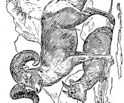 Coloriage Ch&egrave;vres sauvages