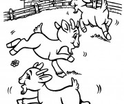 Coloriage et dessins gratuit Les chevreaux jouent à imprimer