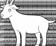 Coloriage petite ch&egrave;vre &agrave; t&eacute;l&eacute;charger