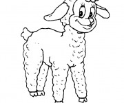 Coloriage Un Agneau