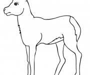 Coloriage Une Belle Ch&egrave;vre