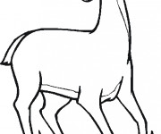 Coloriage Belle chevrette vecteur