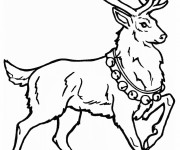 Coloriage et dessins gratuit Chevreuil de Noël à imprimer