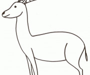 Coloriage Chevreuil &eacute;l&eacute;mentaire