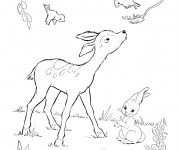 Coloriage et dessins gratuit Chevreuil et oiseaux à imprimer