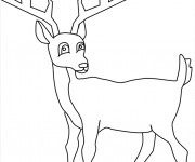 Coloriage Chevreuil ligne